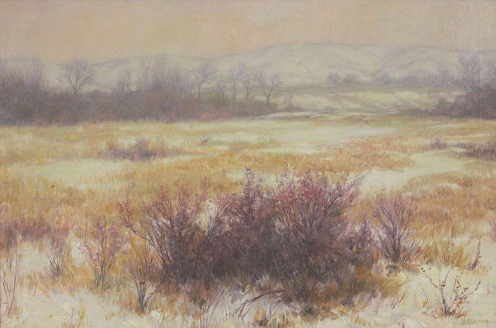 Custer Battlefield
